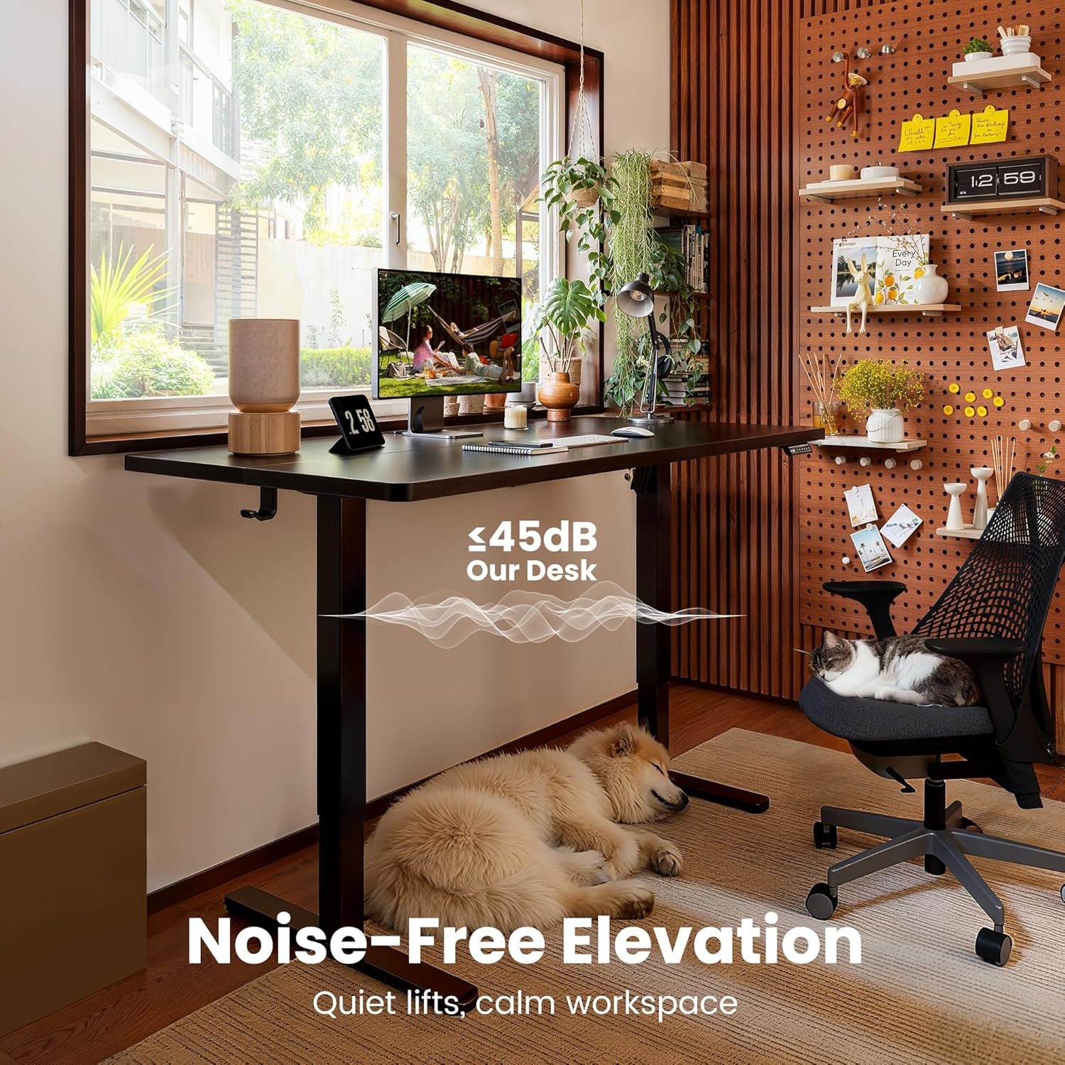 image:imageErgear Height Adjustable Electric Standing Desk 48x24 Inches Sit Stand up Memory Computer Home Office Desk NaturalEGESD5NBlack