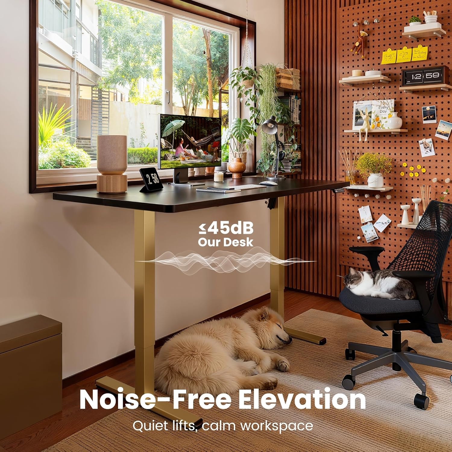 image:imageErgear Height Adjustable Electric Standing Desk 48x24 Inches Sit Stand up Memory Computer Home Office Desk NaturalEGESD5NBlackgold