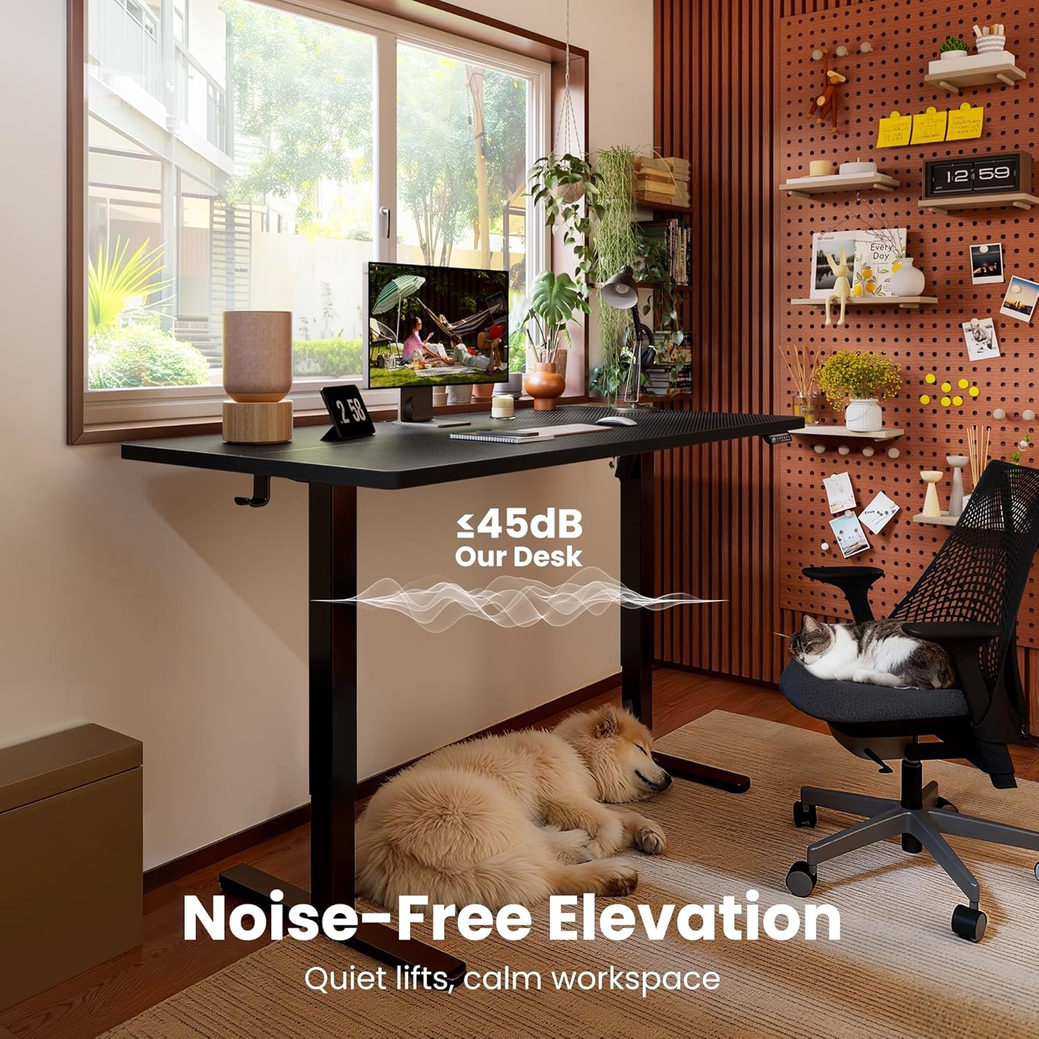 image:imageErgear Height Adjustable Electric Standing Desk 48x24 Inches Sit Stand up Memory Computer Home Office Desk NaturalEGESD5NCarbon Fiber Black