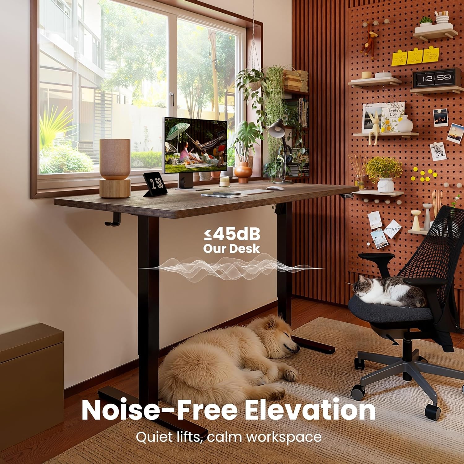 image:imageErgear Height Adjustable Electric Standing Desk 48x24 Inches Sit Stand up Memory Computer Home Office Desk NaturalEGESD5NDark Walnut