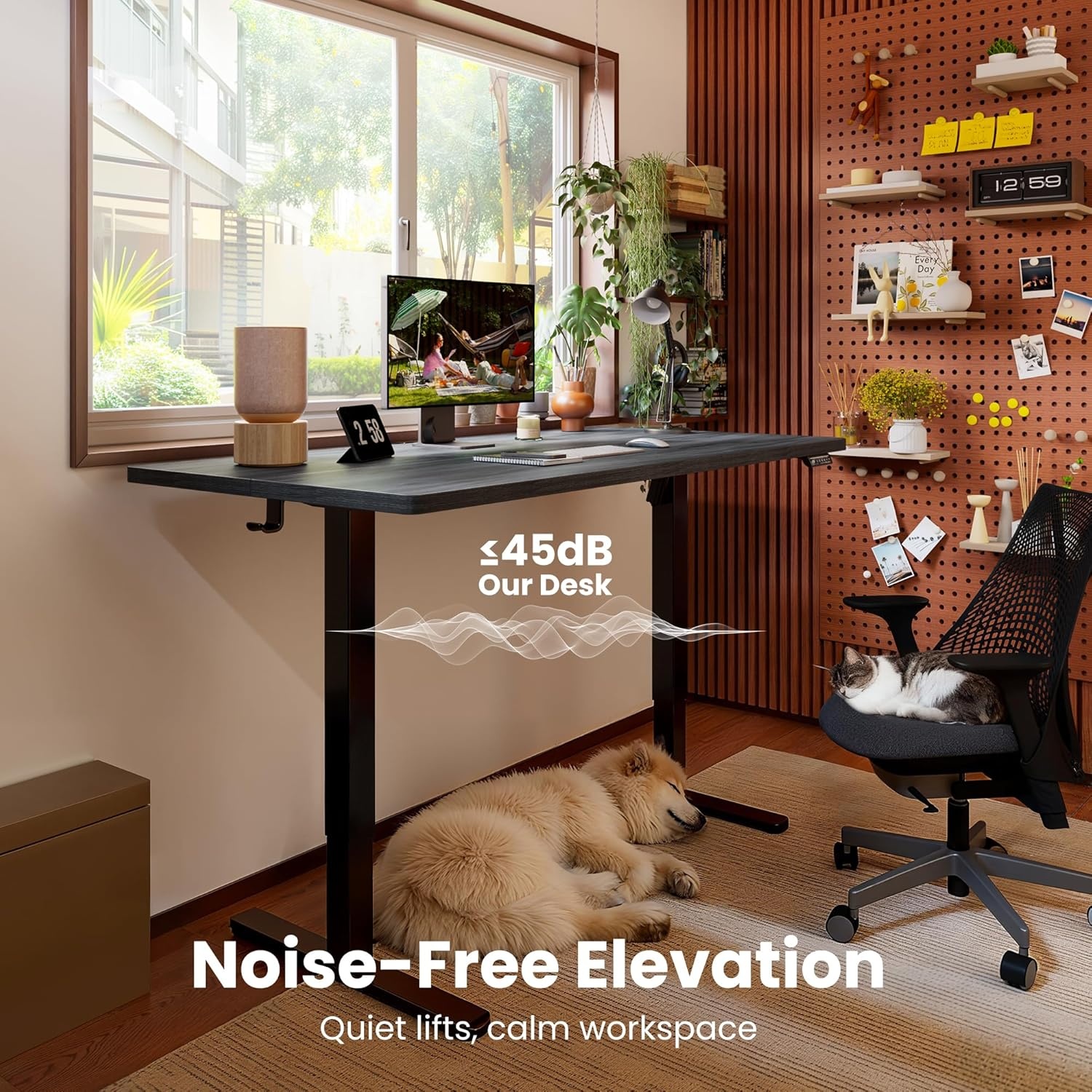 image:imageErgear Height Adjustable Electric Standing Desk 48x24 Inches Sit Stand up Memory Computer Home Office Desk NaturalEGESD5NGrey