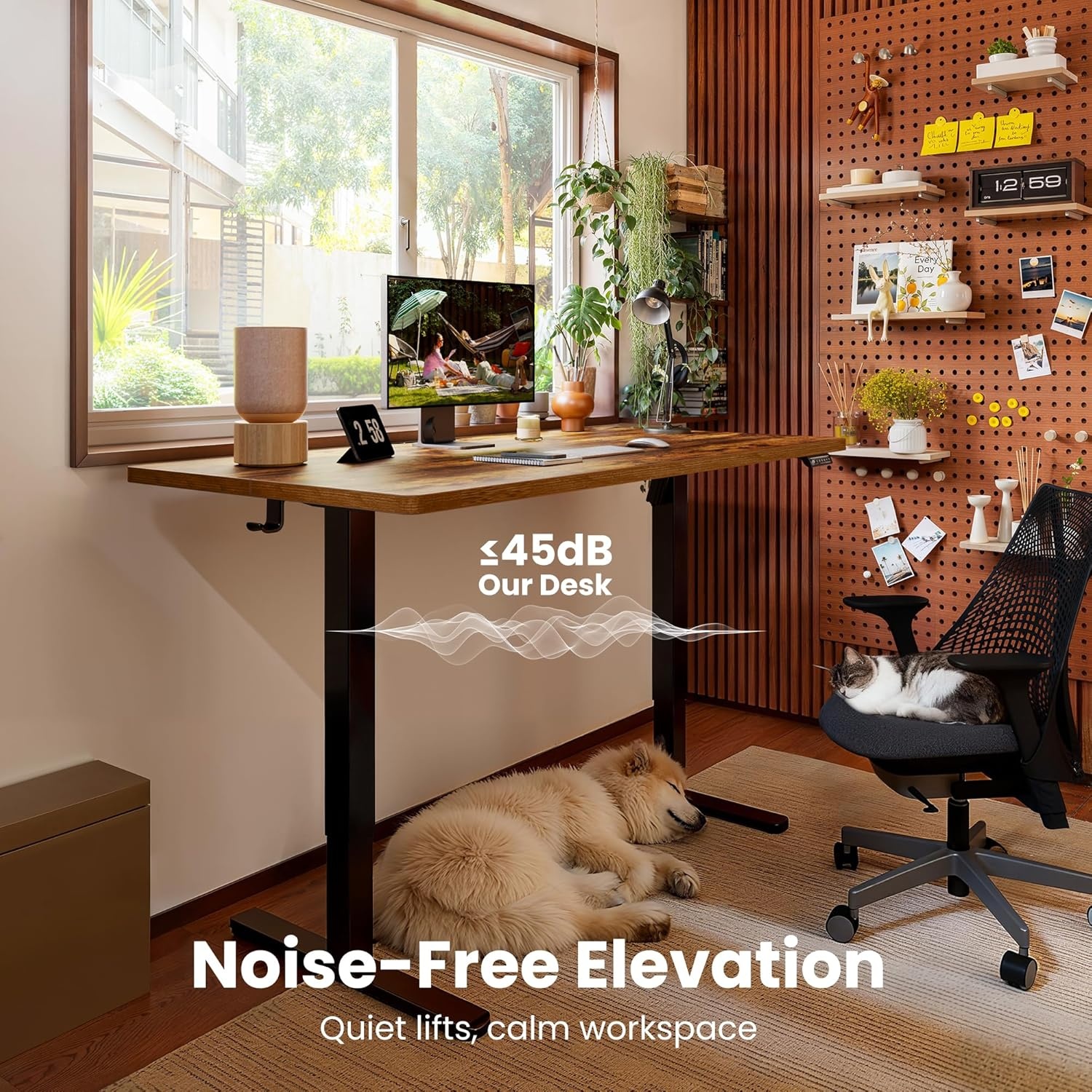 image:imageErgear Height Adjustable Electric Standing Desk 48x24 Inches Sit Stand up Memory Computer Home Office Desk NaturalEGESD5NVintage Brown