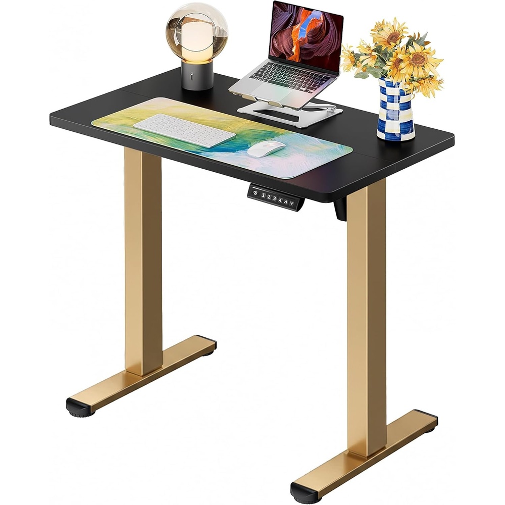 image:imageErgear Height Adjustable Electric Standing Desk 48x24 Inches Sit Stand up Memory Computer Home Office Desk NaturalEGESD5NBlackgold