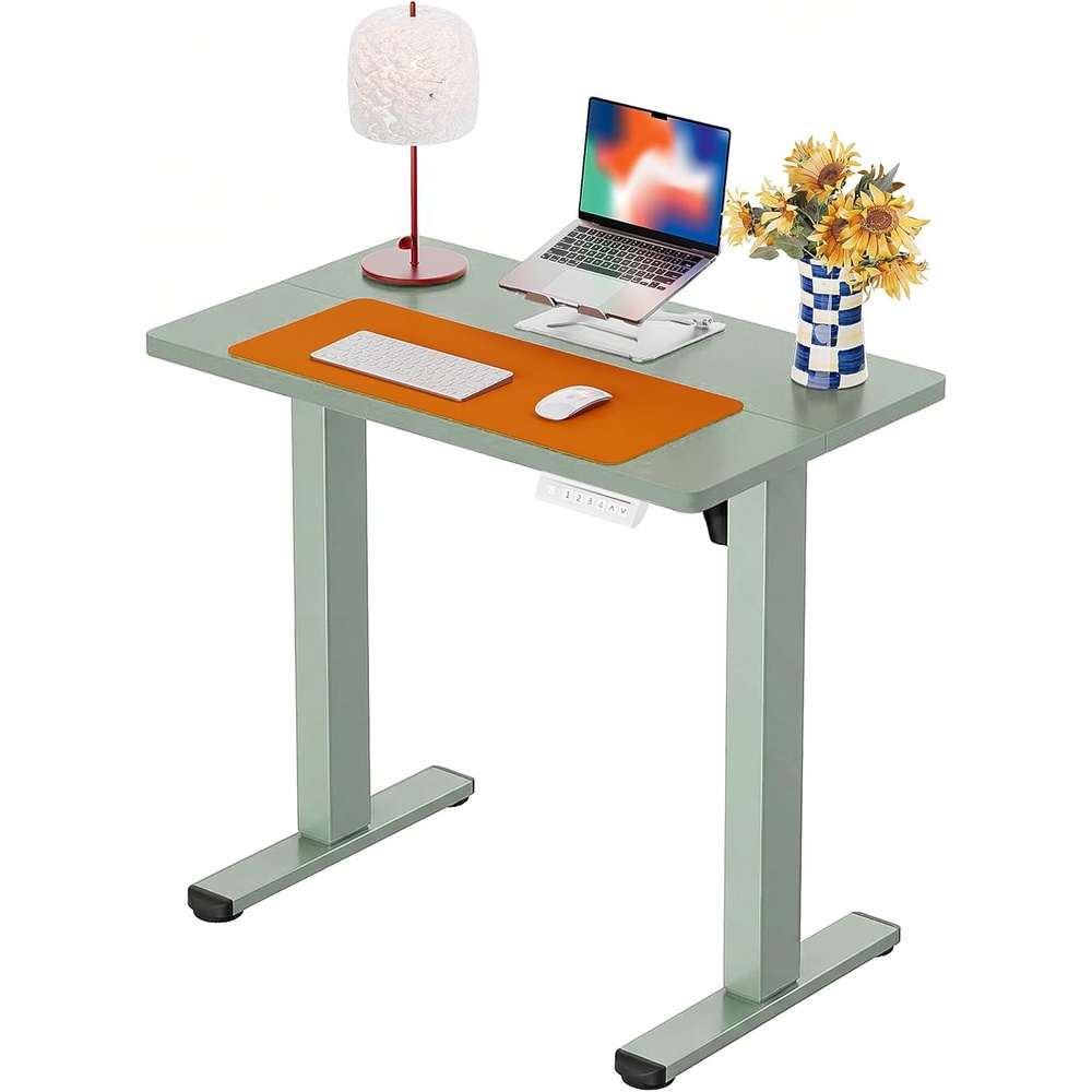 image:imageErgear Height Adjustable Electric Standing Desk 48x24 Inches Sit Stand up Memory Computer Home Office Desk NaturalEGESD5NGreen