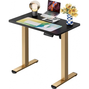 image:imageErgear Height Adjustable Electric Standing Desk 48x24 Inches Sit Stand up Memory Computer Home Office Desk NaturalEGESD5NBlackgold