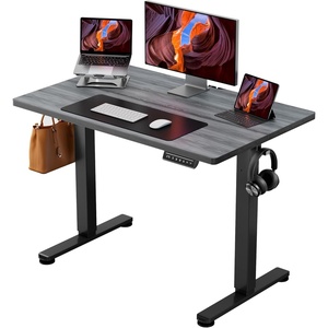 image:imageErgear Height Adjustable Electric Standing Desk 48x24 Inches Sit Stand up Memory Computer Home Office Desk NaturalEGESD5NGrey