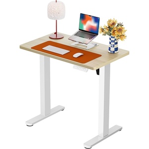 image:imageErgear Height Adjustable Electric Standing Desk 48x24 Inches Sit Stand up Memory Computer Home Office Desk NaturalEGESD5NNatural