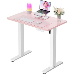 image:imageErgear Height Adjustable Electric Standing Desk 48x24 Inches Sit Stand up Memory Computer Home Office Desk NaturalEGESD5NPink