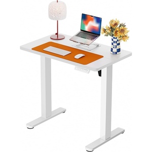 image:imageErgear Height Adjustable Electric Standing Desk 48x24 Inches Sit Stand up Memory Computer Home Office Desk NaturalEGESD5NWhite